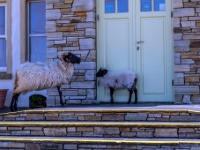 Achill Island, County Mayo